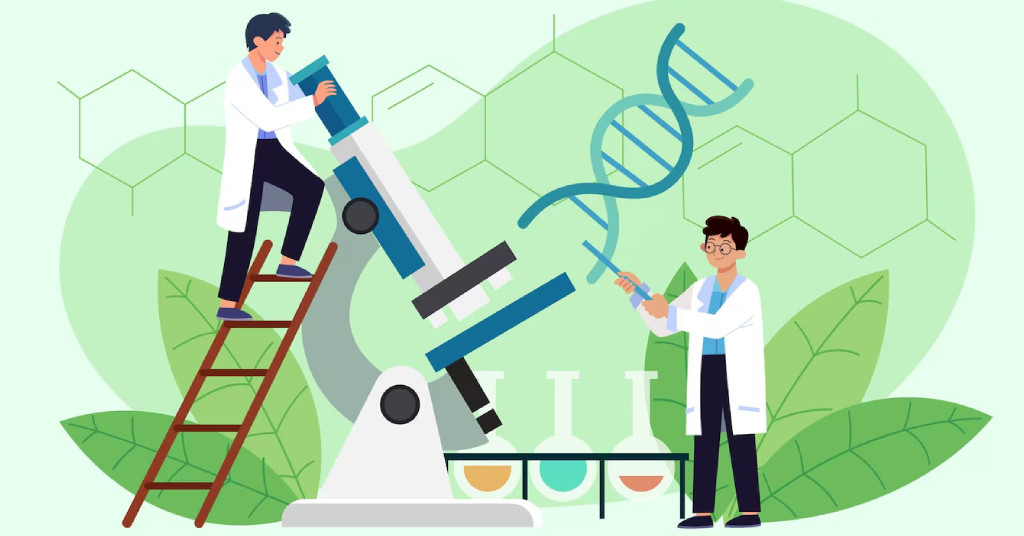 Biotech vs Biomedical Engineering